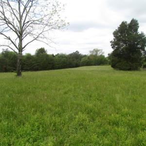 Photo of UNDER CONTRACT!  665 Acres of Hunting and Investment Land For Sale in Fluvanna County VA!