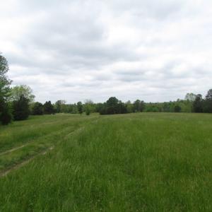 Photo of UNDER CONTRACT!  665 Acres of Hunting and Investment Land For Sale in Fluvanna County VA!