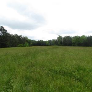 Photo of UNDER CONTRACT!  665 Acres of Hunting and Investment Land For Sale in Fluvanna County VA!