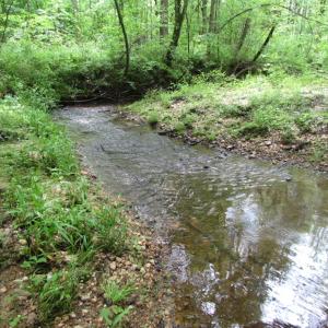 Photo of UNDER CONTRACT!  665 Acres of Hunting and Investment Land For Sale in Fluvanna County VA!