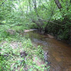 Photo of UNDER CONTRACT!  665 Acres of Hunting and Investment Land For Sale in Fluvanna County VA!