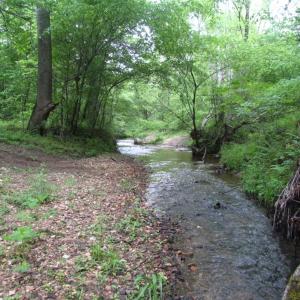 Photo of UNDER CONTRACT!  665 Acres of Hunting and Investment Land For Sale in Fluvanna County VA!