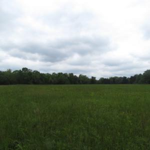 Photo of UNDER CONTRACT!  665 Acres of Hunting and Investment Land For Sale in Fluvanna County VA!