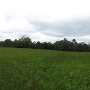 Photo of UNDER CONTRACT!  665 Acres of Hunting and Investment Land For Sale in Fluvanna County VA!