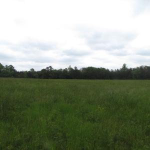 Photo of UNDER CONTRACT!  665 Acres of Hunting and Investment Land For Sale in Fluvanna County VA!