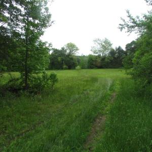 Photo of UNDER CONTRACT!  665 Acres of Hunting and Investment Land For Sale in Fluvanna County VA!