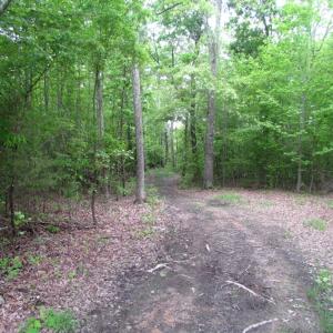 Photo of UNDER CONTRACT!  665 Acres of Hunting and Investment Land For Sale in Fluvanna County VA!