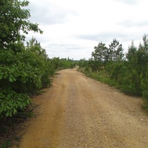 Photo of UNDER CONTRACT!  665 Acres of Hunting and Investment Land For Sale in Fluvanna County VA!