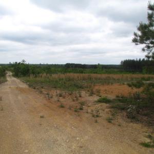 Photo of UNDER CONTRACT!  665 Acres of Hunting and Investment Land For Sale in Fluvanna County VA!