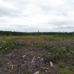 Photo of UNDER CONTRACT!  665 Acres of Hunting and Investment Land For Sale in Fluvanna County VA!