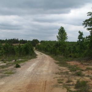 Photo of UNDER CONTRACT!  665 Acres of Hunting and Investment Land For Sale in Fluvanna County VA!