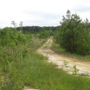 Photo of UNDER CONTRACT!  665 Acres of Hunting and Investment Land For Sale in Fluvanna County VA!