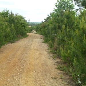 Photo of UNDER CONTRACT!  665 Acres of Hunting and Investment Land For Sale in Fluvanna County VA!