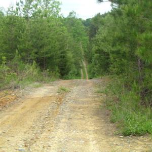 Photo of UNDER CONTRACT!  665 Acres of Hunting and Investment Land For Sale in Fluvanna County VA!
