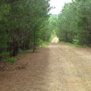 Photo of UNDER CONTRACT!  665 Acres of Hunting and Investment Land For Sale in Fluvanna County VA!