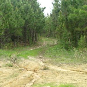 Photo of UNDER CONTRACT!  665 Acres of Hunting and Investment Land For Sale in Fluvanna County VA!