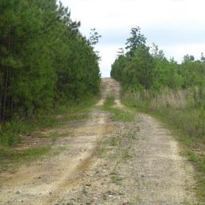 Photo of UNDER CONTRACT!  665 Acres of Hunting and Investment Land For Sale in Fluvanna County VA!