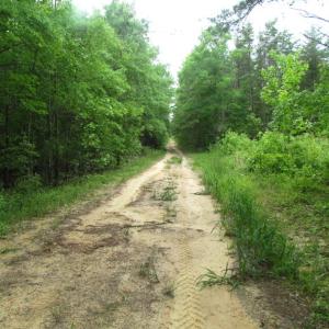 Photo of UNDER CONTRACT!  665 Acres of Hunting and Investment Land For Sale in Fluvanna County VA!