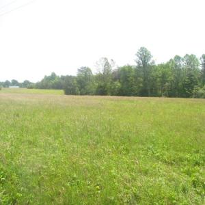 Photo of SOLD!  25 Acres of Hunting Land with Home Site For Sale in Fluvanna County VA!