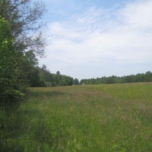 Photo of SOLD!  25 Acres of Hunting Land with Home Site For Sale in Fluvanna County VA!