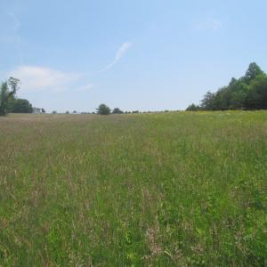 Photo of SOLD!  25 Acres of Hunting Land with Home Site For Sale in Fluvanna County VA!