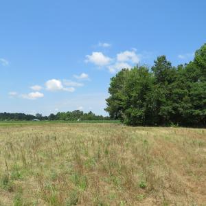 Photo of SOLD!  23 Acres of Farm and Timber Land With Home For Sale in Columbus County NC!
