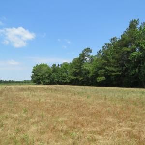 Photo of SOLD!  23 Acres of Farm and Timber Land With Home For Sale in Columbus County NC!