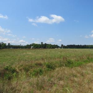 Photo of SOLD!  23 Acres of Farm and Timber Land With Home For Sale in Columbus County NC!