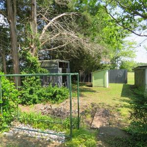 Photo of SOLD!  23 Acres of Farm and Timber Land With Home For Sale in Columbus County NC!