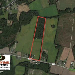Photo of SOLD!  23 Acres of Farm and Timber Land With Home For Sale in Columbus County NC!