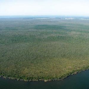 Photo of SOLD!  998 Acres of Riverfront Hunting Land For Sale in Camden County NC!