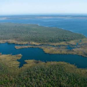 Photo of SOLD!  998 Acres of Riverfront Hunting Land For Sale in Camden County NC!