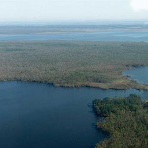 Photo of SOLD!  998 Acres of Riverfront Hunting Land For Sale in Camden County NC!