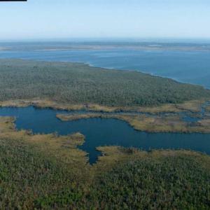 Photo of SOLD!  998 Acres of Riverfront Hunting Land For Sale in Camden County NC!