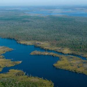 Photo of SOLD!  998 Acres of Riverfront Hunting Land For Sale in Camden County NC!