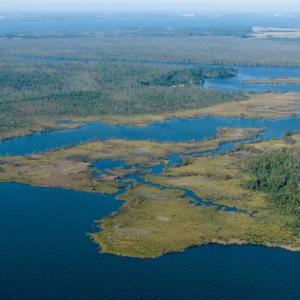 Photo of SOLD!  998 Acres of Riverfront Hunting Land For Sale in Camden County NC!