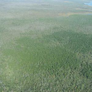 Photo of SOLD!  998 Acres of Riverfront Hunting Land For Sale in Camden County NC!