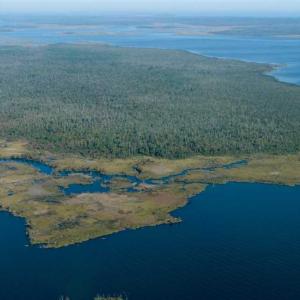 Photo of SOLD!  998 Acres of Riverfront Hunting Land For Sale in Camden County NC!