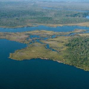 Photo of SOLD!  998 Acres of Riverfront Hunting Land For Sale in Camden County NC!