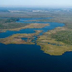 Photo of SOLD!  998 Acres of Riverfront Hunting Land For Sale in Camden County NC!
