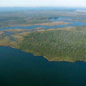 Photo of SOLD!  998 Acres of Riverfront Hunting Land For Sale in Camden County NC!