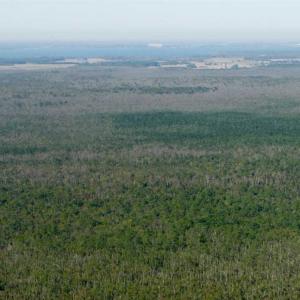 Photo of SOLD!  998 Acres of Riverfront Hunting Land For Sale in Camden County NC!