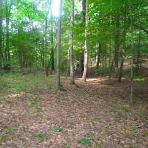 Photo of UNDER CONTRACT!  18 Acres of Hunting and Timber Land For Sale in Gloucester County VA!