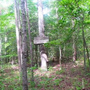 Photo of UNDER CONTRACT!  18 Acres of Hunting and Timber Land For Sale in Gloucester County VA!