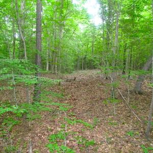 Photo of UNDER CONTRACT!  18 Acres of Hunting and Timber Land For Sale in Gloucester County VA!