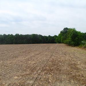 Photo of UNDER CONTRACT!  18 Acres of Hunting and Timber Land For Sale in Gloucester County VA!