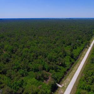 Photo of UNDER CONTRACT!  180 Acres of Hunting Land For Sale in Hyde County NC!