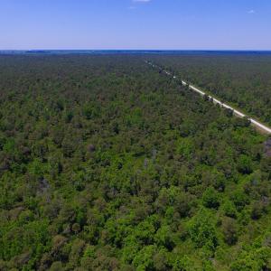 Photo of UNDER CONTRACT!  180 Acres of Hunting Land For Sale in Hyde County NC!