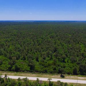 Photo of UNDER CONTRACT!  180 Acres of Hunting Land For Sale in Hyde County NC!