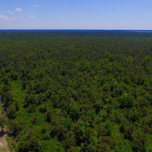 Photo of UNDER CONTRACT!  180 Acres of Hunting Land For Sale in Hyde County NC!
